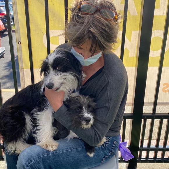 Meet your Posher, Terry - Picture 4 of 5